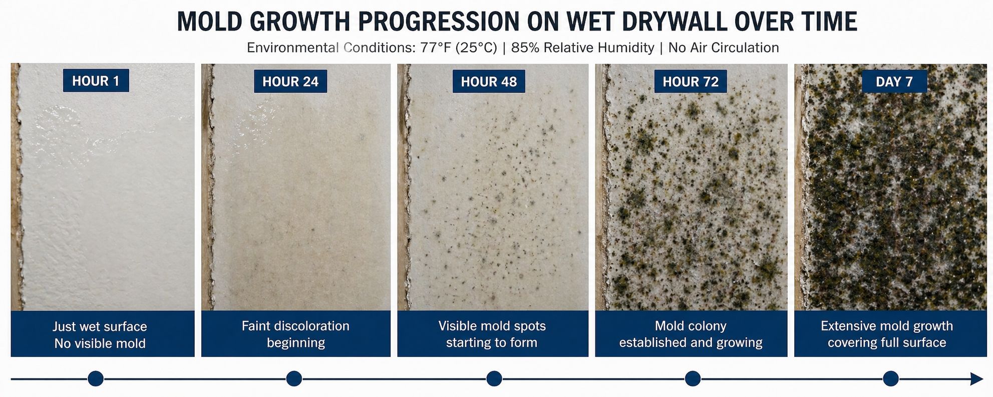 How Long Does Water Damage Take?