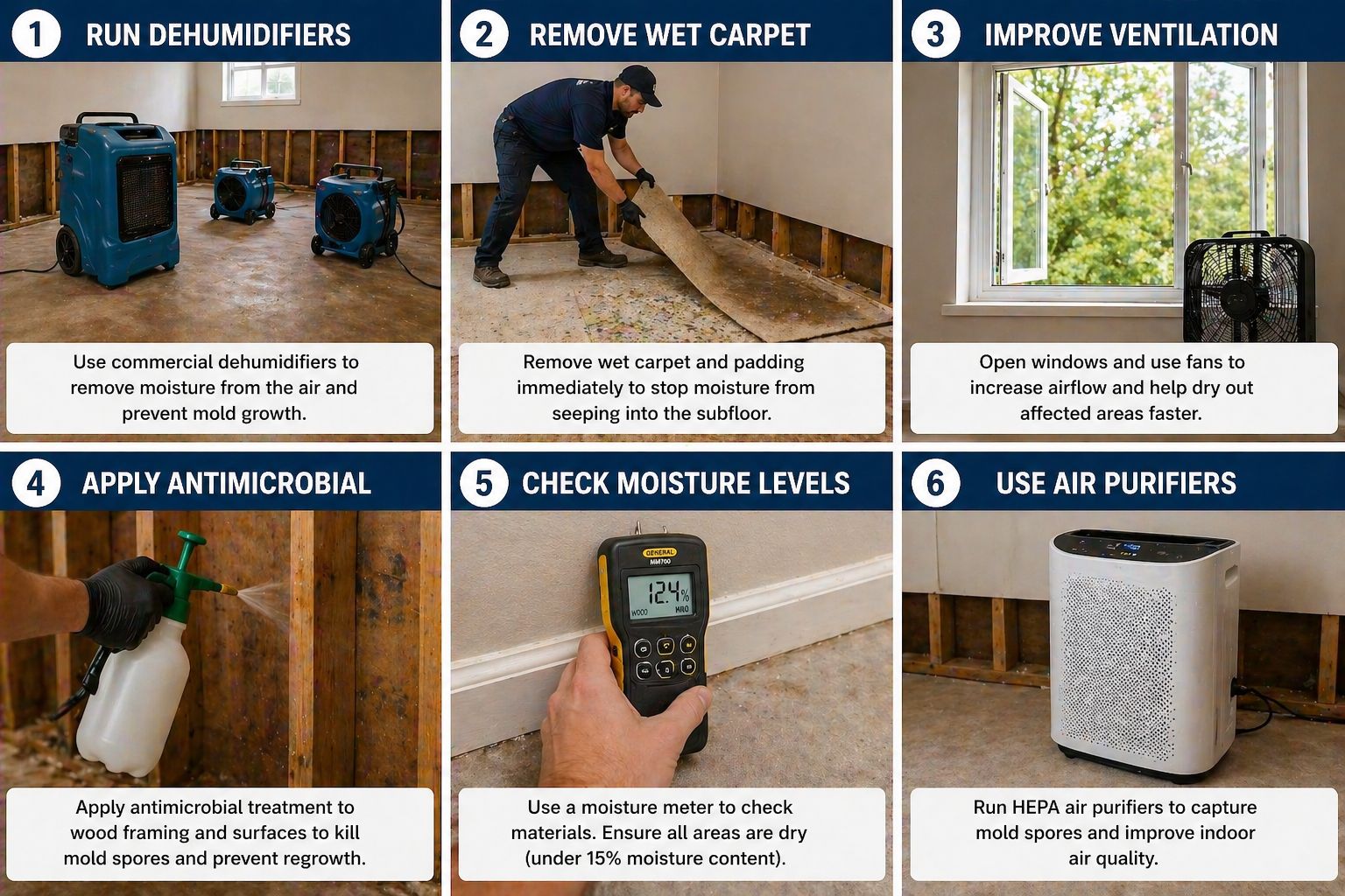 Mold prevention after flooding