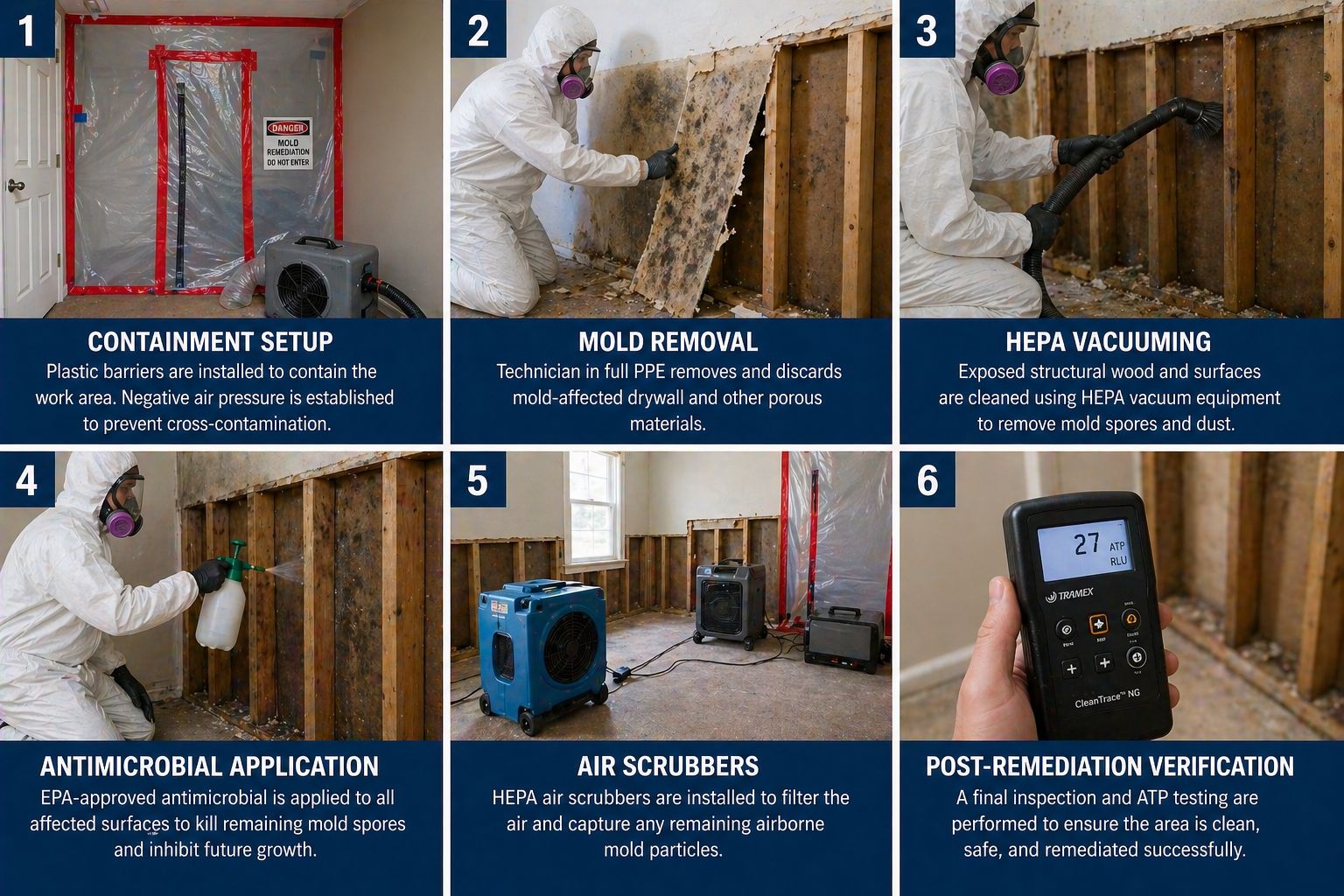 Mold remediation process